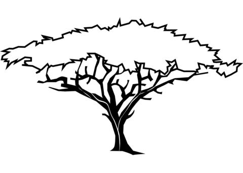 Acacia Tree Coloring Page